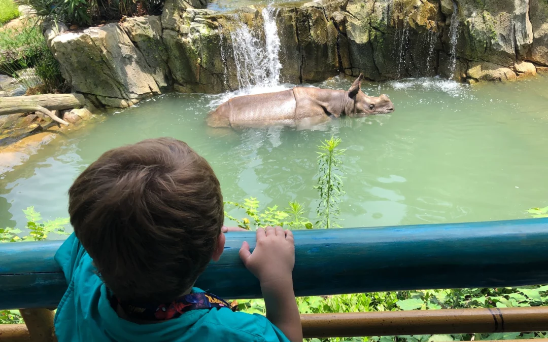 Experience the San Antonio Zoo