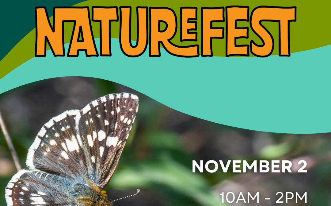 NatureFest